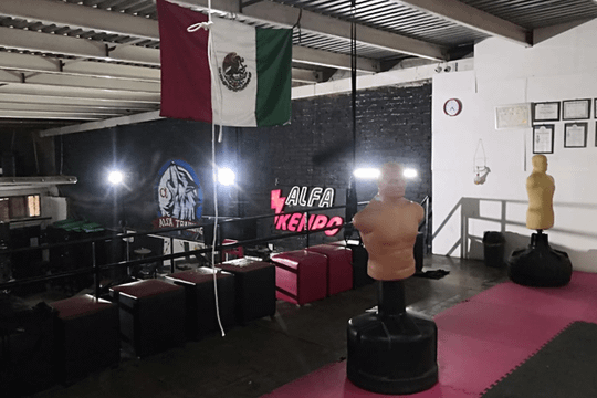 Imagen 1 de la galería del partner Gym Alfa Training Center