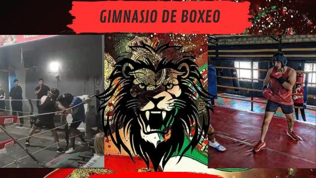 Imagen 1 de la galería del partner ANIMAL GYM Boxing Club