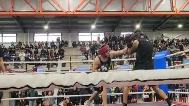 Imagen 3 de la galería del partner ANIMAL GYM Boxing Club