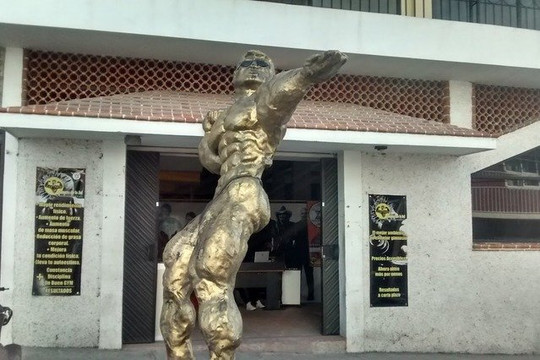 Imagen 2 de la galería del partner New Body Gym