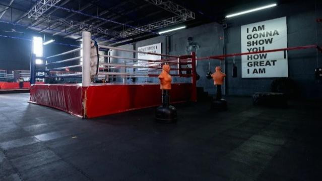 Imagen 3 de la galería del partner Vive Gym - Reforma