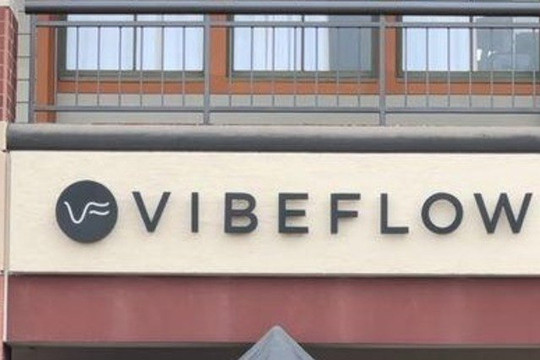 Image 2 from VibeFlow Yoga partner gallery