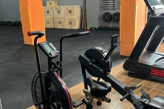 Imagem 3 da galeria do parceiro Crossx Ldta