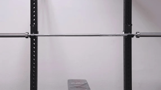 Immagine 3 dalla galleria del partner Your Personal Trainer Cormano