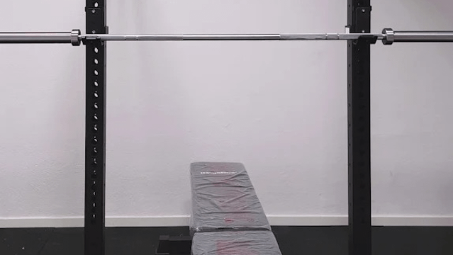 Immagine 2 dalla galleria del partner Your Personal Trainer Cormano