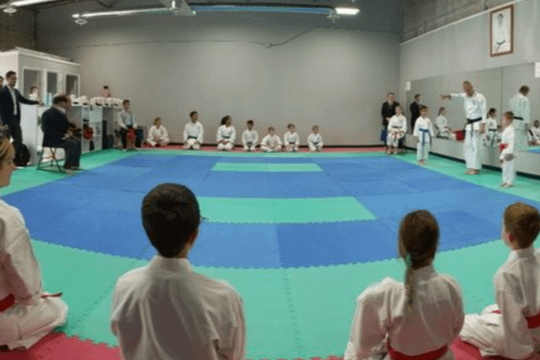 Image 3 from Longmont Wado-Kai Karate partner gallery