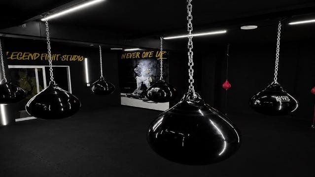 Imagen 3 de la galería del partner Legend Fight Studio