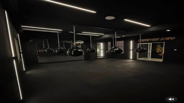 Imagen 1 de la galería del partner Legend Fight Studio