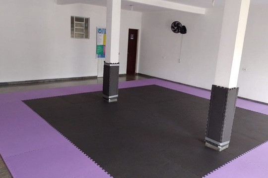 Imagem 1 da galeria do parceiro Equipe Harpia Karatê Shubu-dô