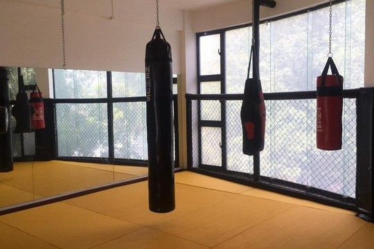 Imagen 1 de la galería del partner Tors Nova Geraçao