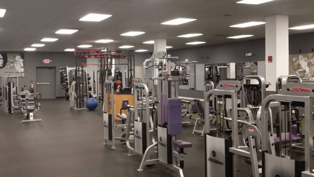 Image 3 from Legendary Performance partner gallery