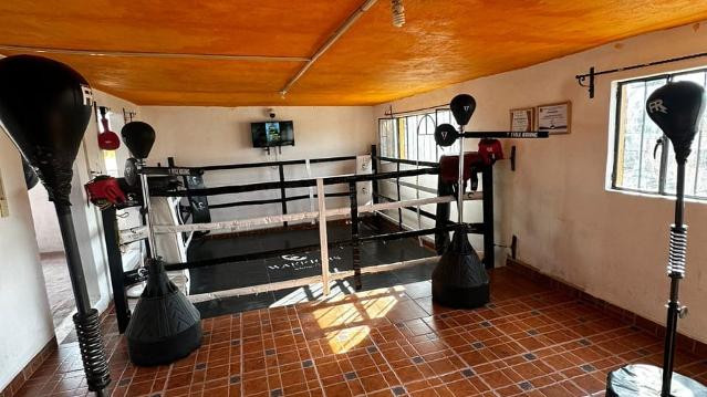 Imagen 3 de la galería del partner Warriors boxing club