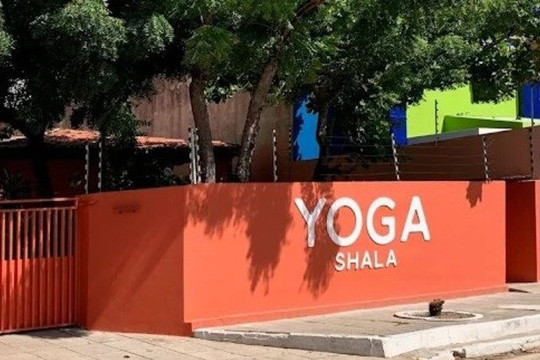 Imagem 2 da galeria do parceiro Nirav Yoga