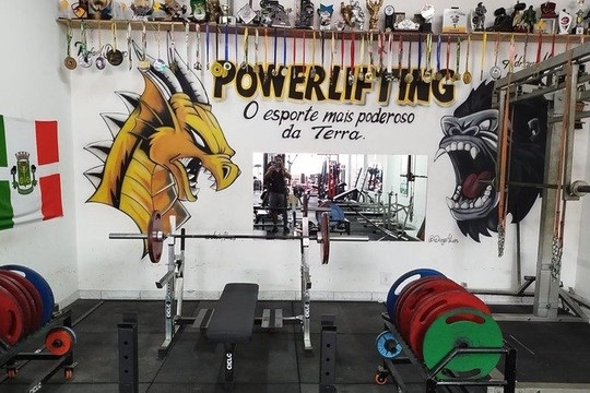 Imagem 1 da galeria do parceiro Drago Mutante