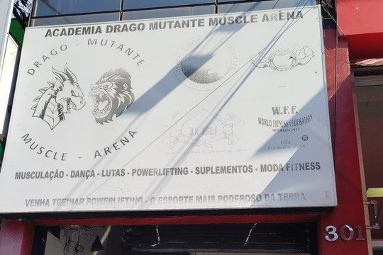 Imagem 2 da galeria do parceiro Drago Mutante