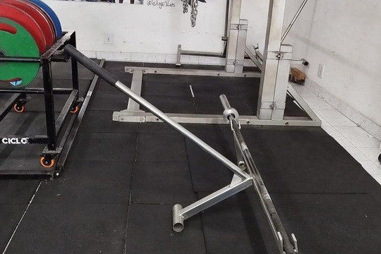 Imagem 3 da galeria do parceiro Drago Mutante