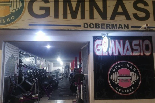 Imagen 1 de la galería del partner Doberman Elite