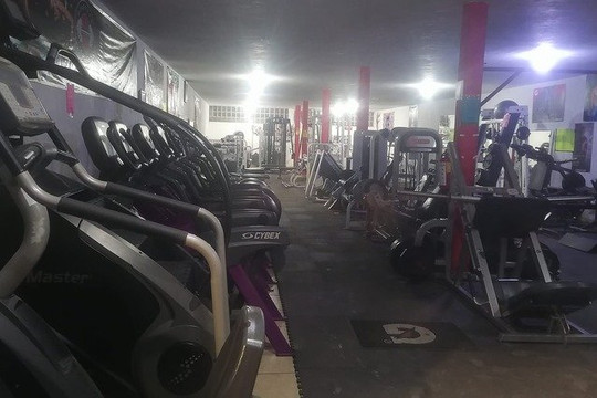 Imagen 2 de la galería del partner Doberman Elite