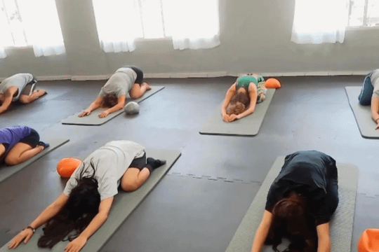 Imagem 1 da galeria do parceiro Roncon Studio Pilates