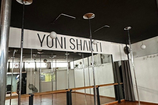 Imagen 6 de la galería del partner Yoni Shakti - Pole Dance