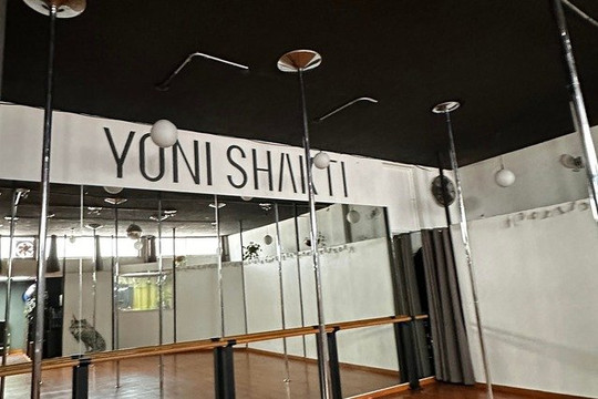 Imagen 1 de la galería del partner Yoni Shakti - Pole Dance