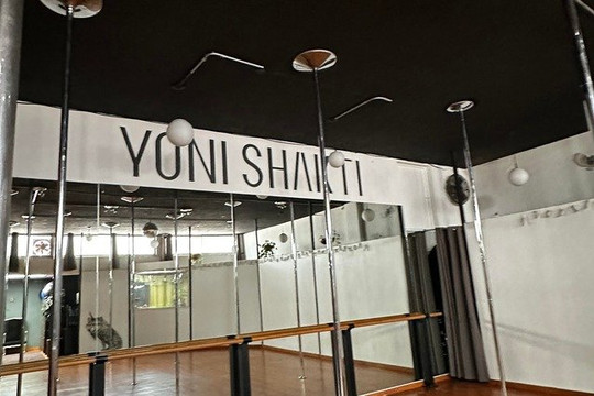 Imagen 2 de la galería del partner Yoni Shakti - Pole Dance