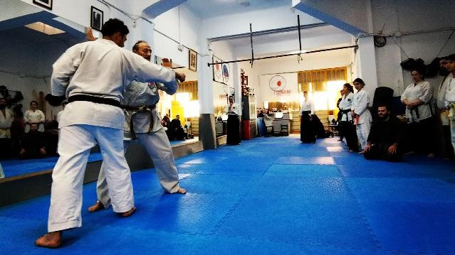 Imagen 1 de la galería del partner Club Deportivo Tsunami