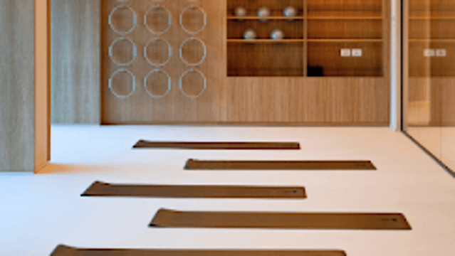 Immagine 1 dalla galleria del partner THRIOM