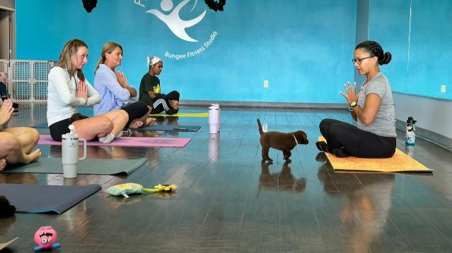 Image 3 from Fly to Fit Bungee Fitness Studio partner gallery