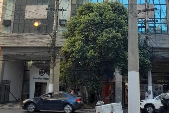 Imagem 2 da galeria do parceiro Fisioequilíbrio