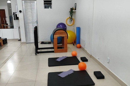 Imagem 1 da galeria do parceiro Vigor Pilates