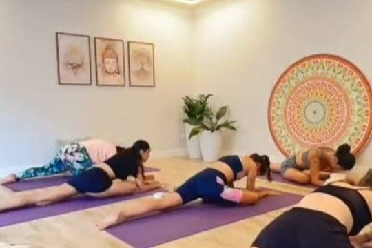 Imagem 3 da galeria do parceiro Shåla Yoga & Terapias