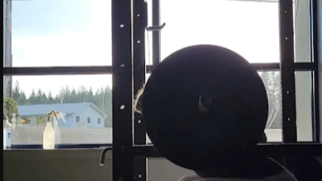 Image 3 from 101 Strength partner gallery