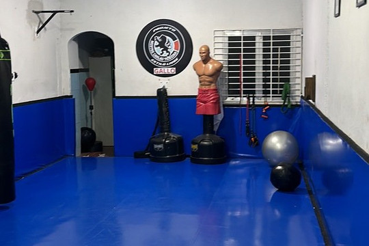 Imagem 3 da galeria do parceiro Saikyou Dojo