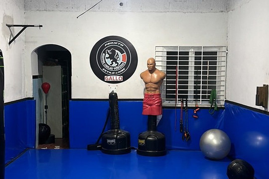 Imagem 1 da galeria do parceiro Saikyou Dojo