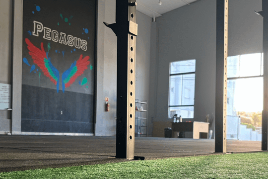 Imagem 1 da galeria do parceiro CF Pegasus