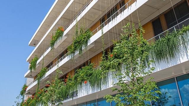 Bild 2 von YogaThrive x VHS Partnergalerie