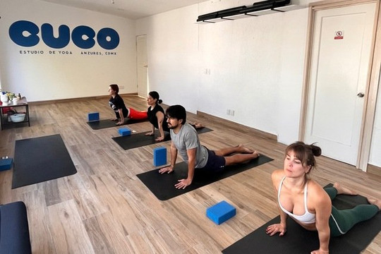 Imagen 1 de la galería del partner Cuco estudio de yoga