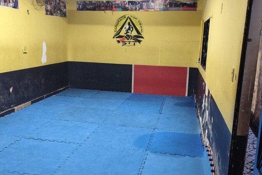 Imagem 2 da galeria do parceiro Sarigracie Top Team
