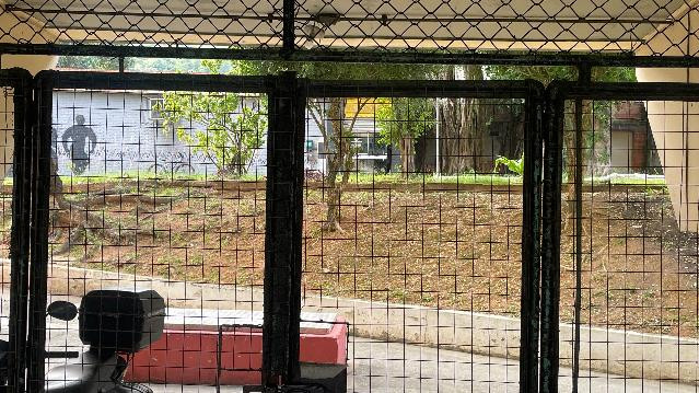 Imagem 2 da galeria do parceiro PEAM - Escola de Artes Marciais