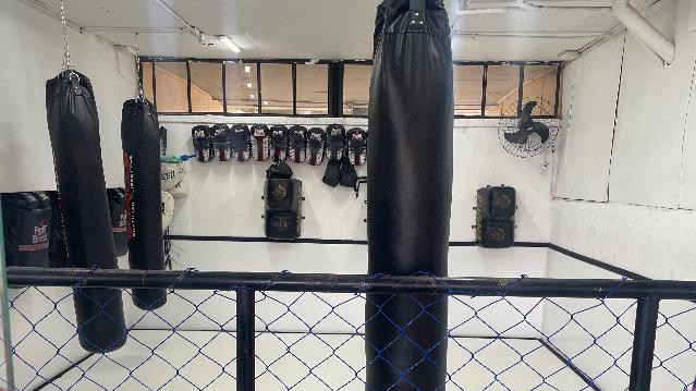 Imagem 1 da galeria do parceiro PEAM - Escola de Artes Marciais