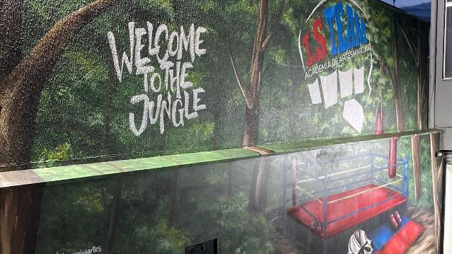 Imagem 1 da galeria do parceiro Academia de Lutas IS Team