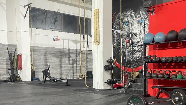 Immagine 1 dalla galleria del partner Crossfit BMH