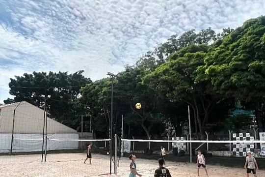 Imagem 3 da galeria do parceiro Arena truck