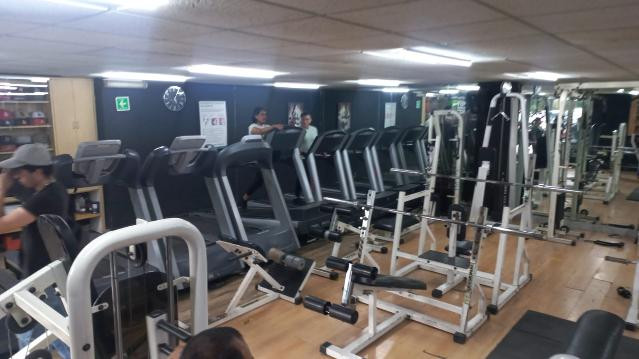 Imagen 3 de la galería del partner Let's Go Fitness