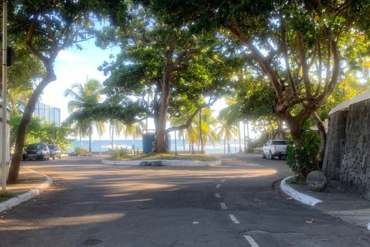 Imagem 3 da galeria do parceiro Team TH Futevôlei