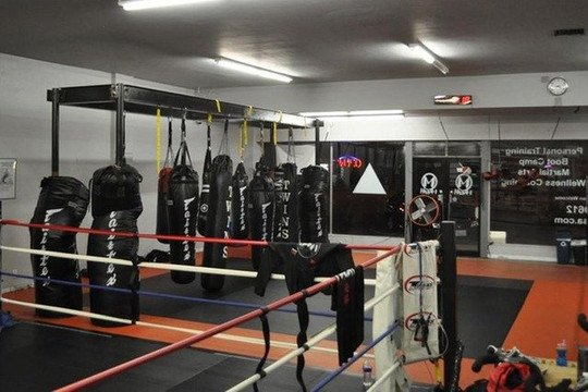 Image 1 from MAESH Striking Arts partner gallery