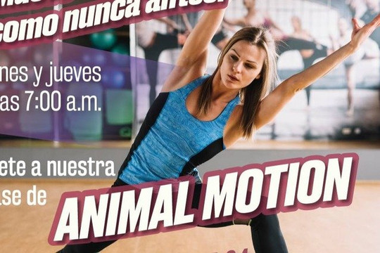 Imagen 3 de la galería del partner Colmmena Lindavista