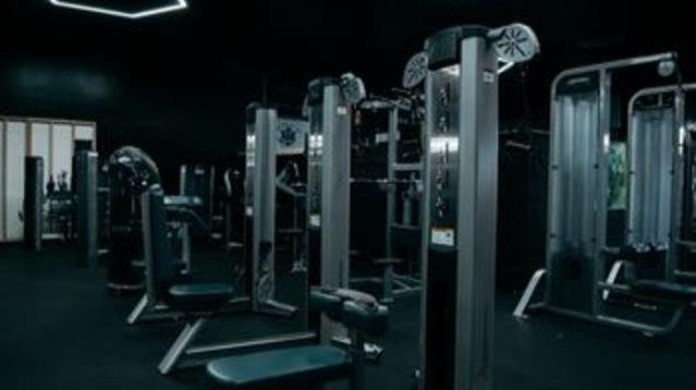 Image 3 from Immortals Delano partner gallery