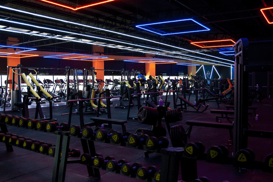 Imagem 3 da galeria do parceiro PhD Sports - Mercês